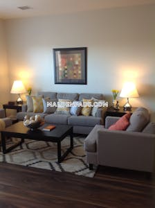 Malden Apartment for rent 1 Bedroom 1 Bath - $3,685