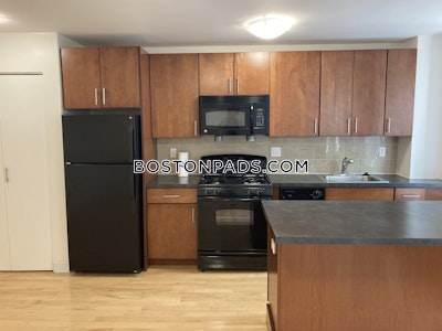 Brighton 1 Bed 1 Bath Boston - $3,201