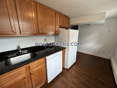 Brighton 2 Beds 1 Bath Boston - $2,900 No Fee