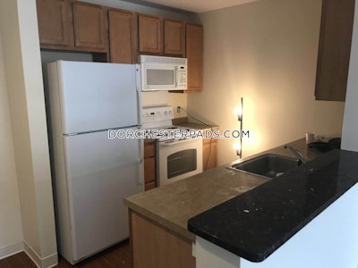 Dorchester Apartment for rent 2 Bedrooms 2 Baths Boston - $6,846 No Fee