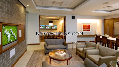 Downtown Apartment for rent 1 Bedroom 1 Bath Boston - $4,192