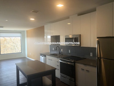 Jamaica Plain Apartment for rent 2 Bedrooms 1 Bath Boston - $4,800 No Fee