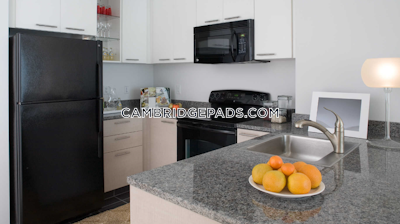 Cambridge Apartment for rent Studio 1 Bath  Kendall Square - $3,405