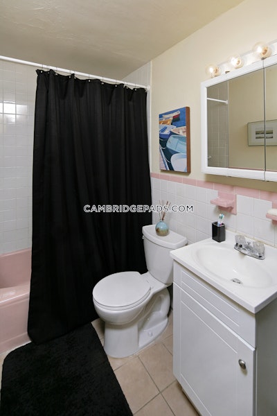 Cambridge Apartment for rent Studio 1 Bath  North Cambridge - $2,300