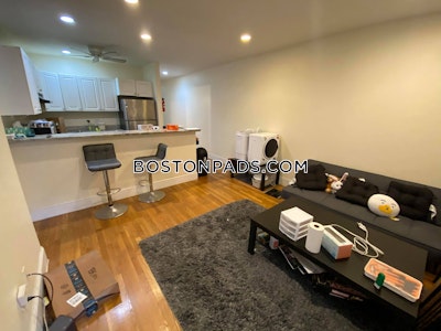 Brookline Apartment for rent 3 Bedrooms 1 Bath  Boston University - $4,750