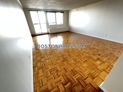 West End Apartment for rent 1 Bedroom 1 Bath Boston - $3,485