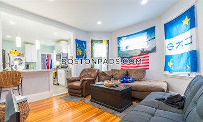 Brighton Apartment for rent 4 Bedrooms 2 Baths Boston - $4,200