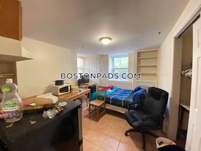 Cambridge Studio 1 Bath  Harvard Square - $2,100