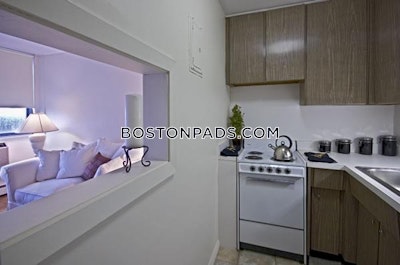 Brighton Apartment for rent Studio 1 Bath Boston - $2,100