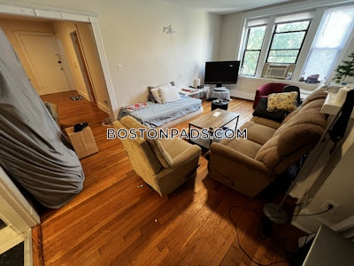 Brighton Apartment for rent 4 Bedrooms 1 Bath Boston - $3,400