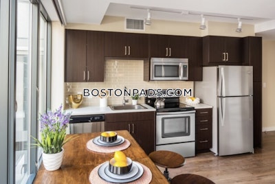 Downtown Studio  Luxury in BOSTON Boston - $2,955