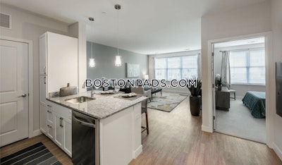 Braintree Apartment for rent 1 Bedroom 1 Bath - $2,475