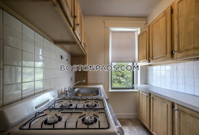 Allston Apartment for rent Studio 1 Bath Boston - $1,900 No Fee