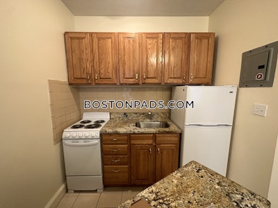 Northeastern/symphony Apartment for rent 2 Bedrooms 1 Bath Boston - $3,550