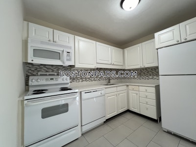 Brookline Apartment for rent 1 Bedroom 1 Bath  Boston University - $2,850 No Fee