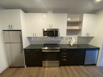 Allston Apartment for rent 1 Bedroom 1 Bath Boston - $3,347 No Fee