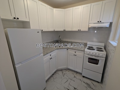 Brighton Apartment for rent 1 Bedroom 1 Bath Boston - $2,550