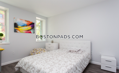 Brighton Apartment for rent 1 Bedroom 1 Bath Boston - $3,150