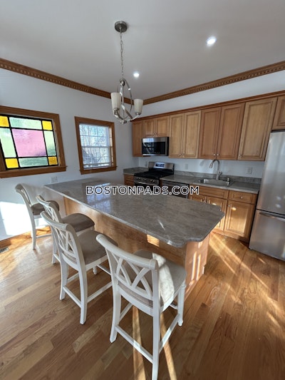 Brighton Apartment for rent 4 Bedrooms 3 Baths Boston - $6,000